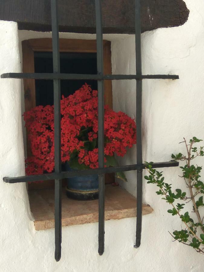 Conjunto Rural Casa Victoria Casa di campagna *